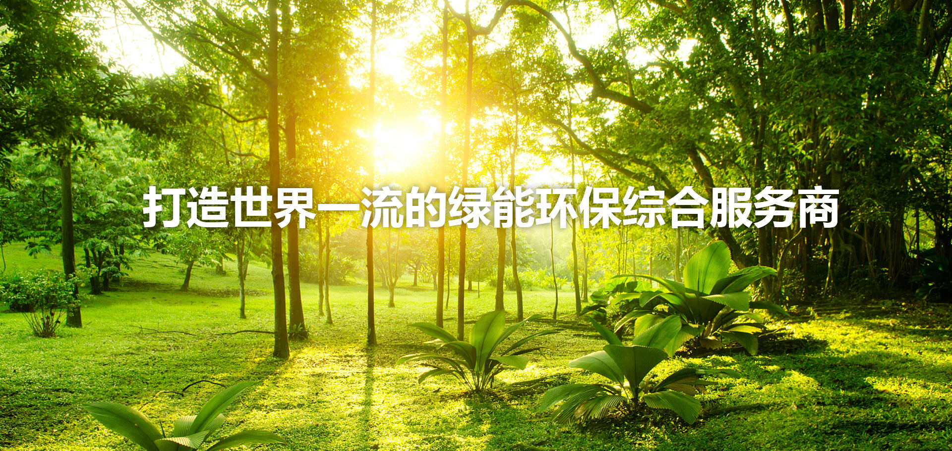 541f6782bf72a2a4 J9集团|国际站官网